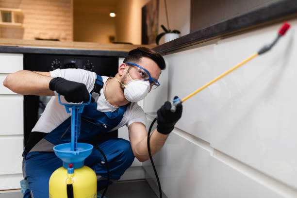 Wasp Removal Services in Sharpsburg, NC