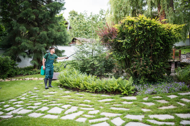 Best Pest Control for Homes  in Sharpsburg, NC