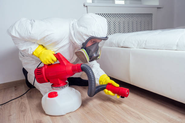 Reliable Sharpsburg, NC Pest Control Solutions