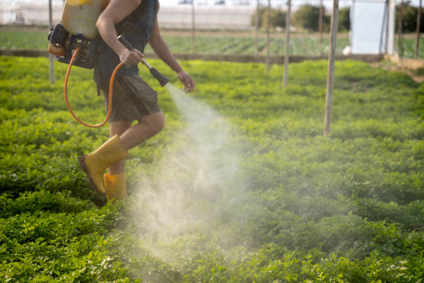Best Ant Control Services  in Sharpsburg, NC