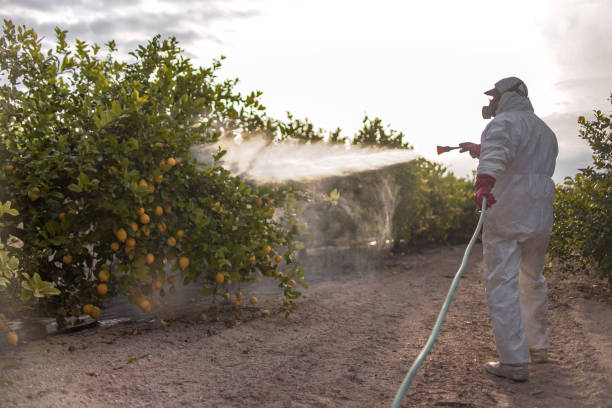 Best Mosquito Control Services  in Sharpsburg, NC