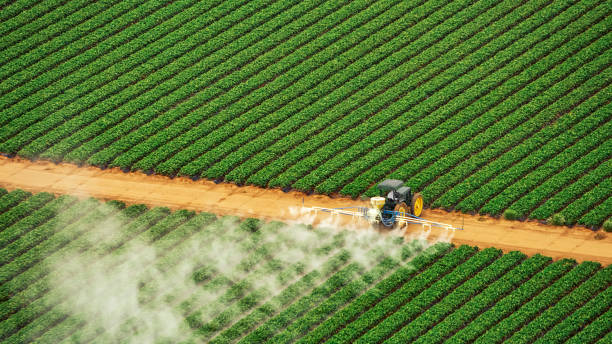 Best Local Pest Control Services  in Sharpsburg, NC