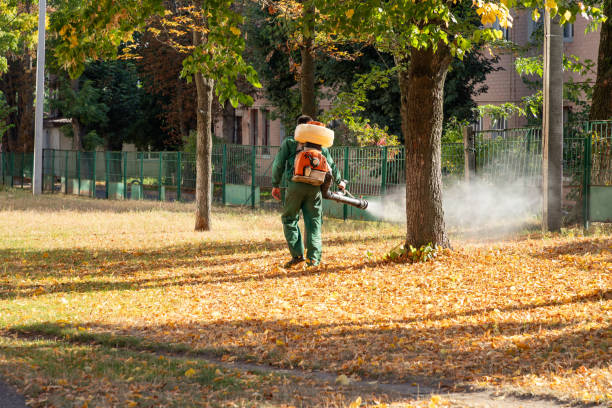 Best Flea Control Services  in Sharpsburg, NC